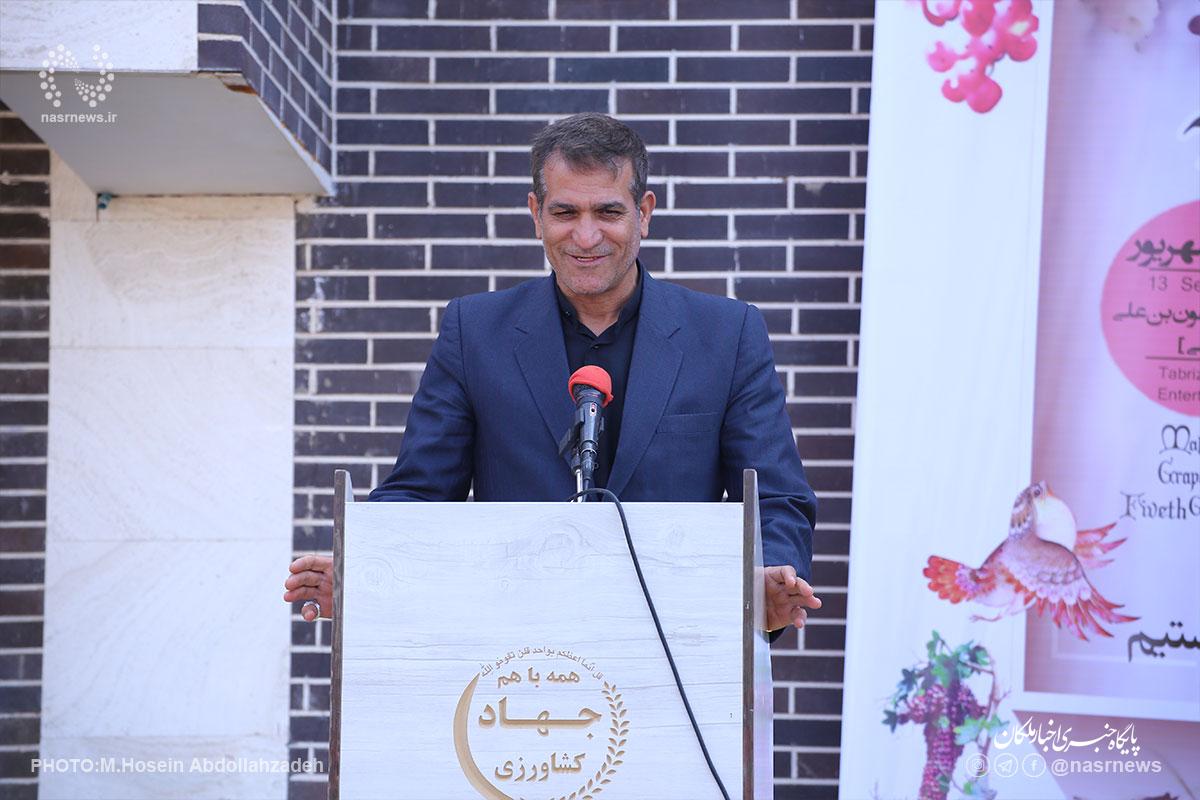 شهرستان ملکان با داشتن ۹ هزار هکتار باغات انگور سهم خوبی در درآمدزایی بخش کشاورزی استان آذربایجان شرقی دارد