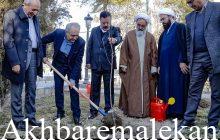 کاشت ۳ میلیون نهال در استان تا پایان فروردین ۱۴۰۴