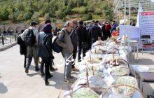 گزارش تصویری پایگاه خبری اخبار ملکان از آیین اختتامیه جشنواره انگور شهرستان ملکان