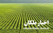 افتتاح ۶۰ طرح کشاورزی در آذربایجان شرقی/ افتتاح  واحد پرورش پولت تخمگذار یکصدهزار قطعه‌ای در ملکان