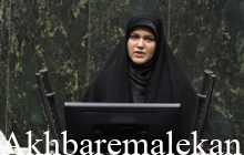 ضرورت همکاری مجلس و دولت برای تدوین بودجه‌ای واقعی، بدون کسری و مبتنی بر توسعه متوازن