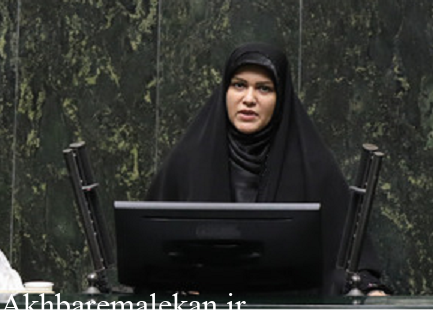 ضرورت همکاری مجلس و دولت برای تدوین بودجه‌ای واقعی، بدون کسری و مبتنی بر توسعه متوازن