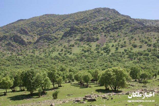 ضرورت انتصاب مدیر مستقل برای اداره حفاظت محیط زیست شهرستان ملکان