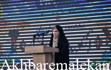 ملکان با داشتن ۱۴ هزار هکتار تاکستان یکی از قطب‌های مهم کشاورزی شمال‌غرب کشور است