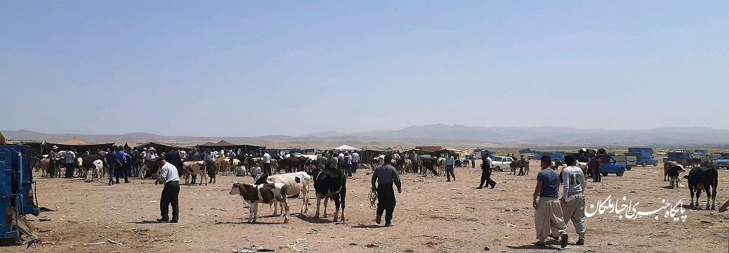خوش آمدگویی بازار هفتگی ملکان به کرونا!