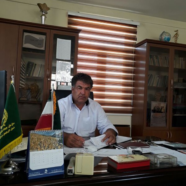 خسارت ۷۰۰ میلیارد ریالی بارش تگرگ به یک هزار هکتار از باغات انگور شهرستان ملکان