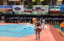 علیرضا نظری تکواندو کار شایسته ملکانی مدال طلای مسابقات آزاد قهرمانی کشور را کسب کرد