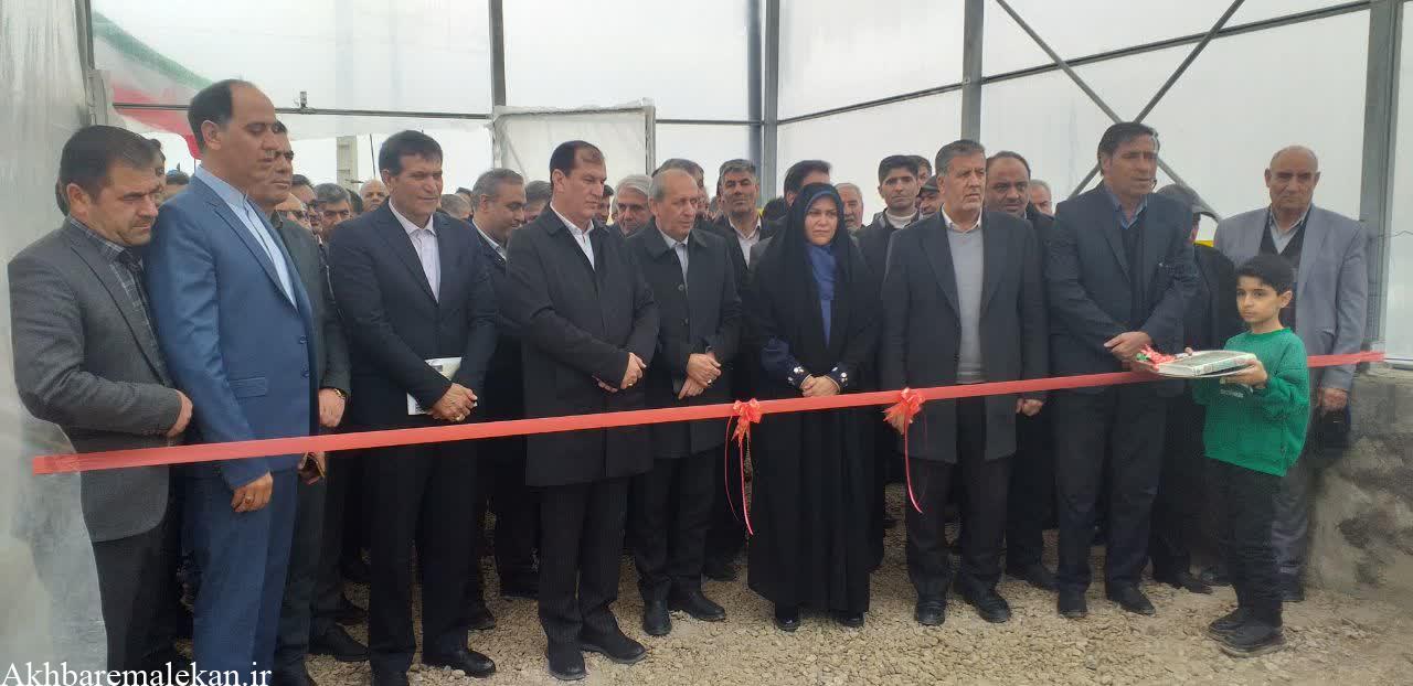 معاون امور باغبانی وزارت جهاد کشاورزی: آذربایجان شرقی با تولیدسالانه پنج میلیون تن انواع محصولات کشاورزی در صف اول امنیت غذایی کشور است