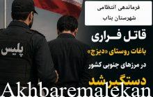 قاتل فراری باغات روستای «دیزج» بناب در مرزهای جنوبی کشور دستگیر شد