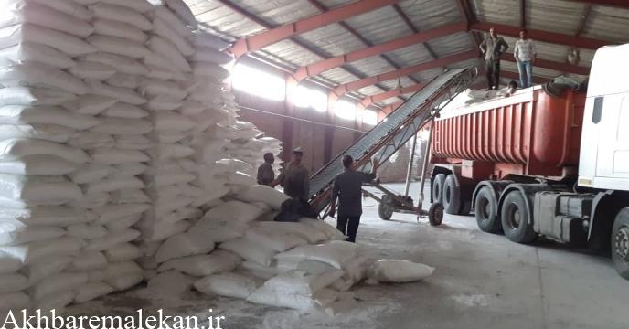 توزیع  ۱۴۲۵ تن انواع کودکشاورزی در شهرستان ملکان