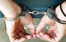 ۴ سارق حرفه ای در بناب دستگیر شدند