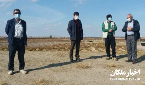 آغاز فعالیت های باستان شناسی در تپه الله قلی شهر لیلان با همکاری دانشگاه هنر تبریز