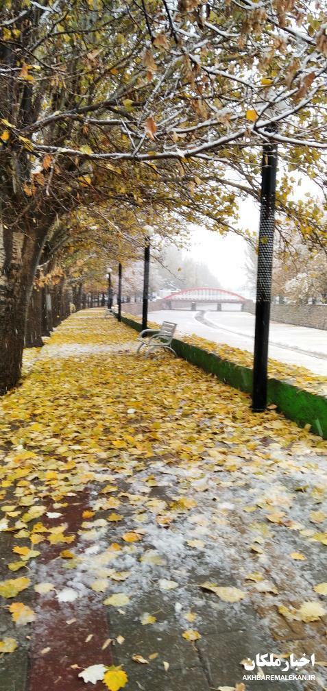 طبیعت زیبای برفی شهرستان ملکان از نگاه دوربین شهروند خبرنگاران اخبار ملکان