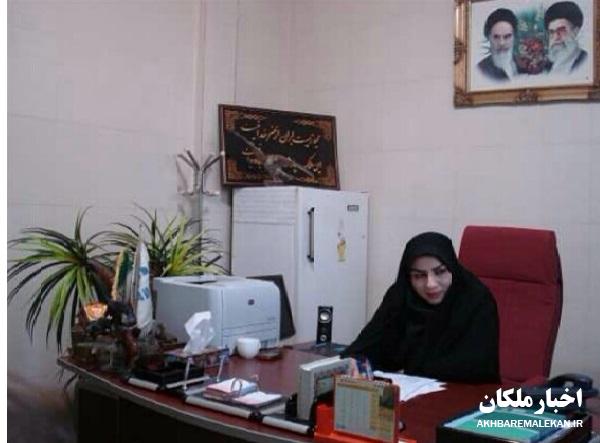 عامل قطع درختان گز در ملکان به کاشت ۵۰ اصله نهال محکوم شد