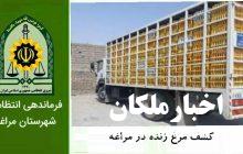 کشف نزدیک به ۵ تن مرغ زنده فاقد مجوز در مراغه