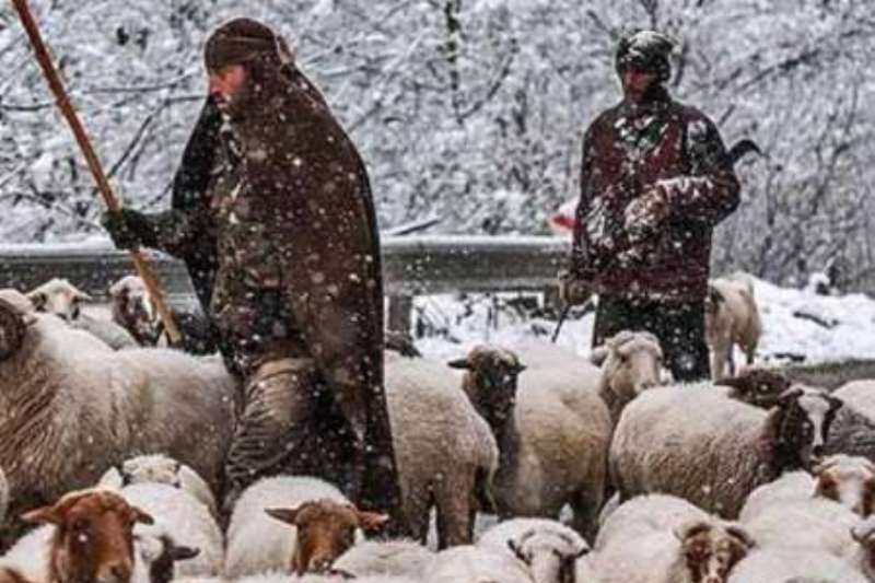 ۱۰ چوپان در آذربایجان شرقی گرفتار کولاک شدند