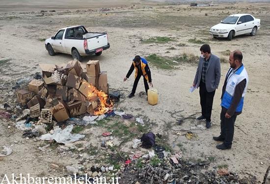 کشف، ضبط و معدوم سازی ۵۱۶ کیلوگرم تخم مرغ غیر بهداشتی در ملکان
