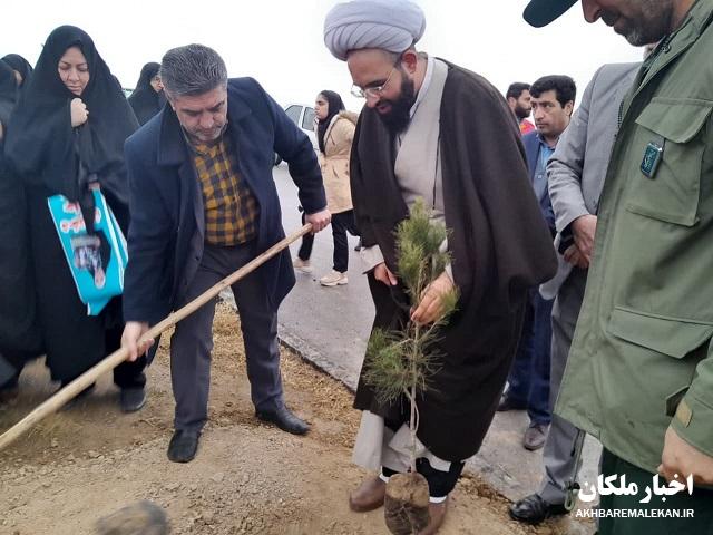 کاشت یکصد اصله نهال به یاد سردار دلها در شهرهای ملکان،لیلان و مبارک شهر