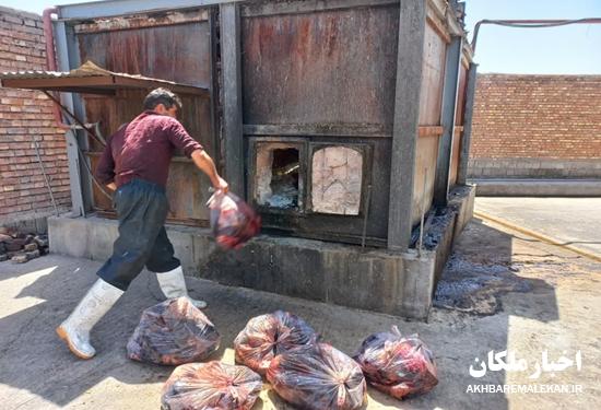 کشف و معدوم سازی ۲۶۰ کیلوگرم گوشت غیر بهداشتی در شهرستان ملکان