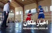 قهرمانی تیم بوکس ملکان در مسابقات چهار جانبه