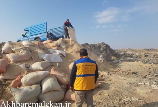 معدوم سازی بیش از ۱۵ تن مواد اولیه خوراک دام و طیور فاسد در ملکان/ برگزاری کلاس ترویجی در خصوص بهداشت شیر و جایگاه دام