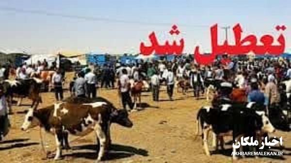 بازار دواب ملکان در روز شنبه ۱۲ خرداد تعطیل شد