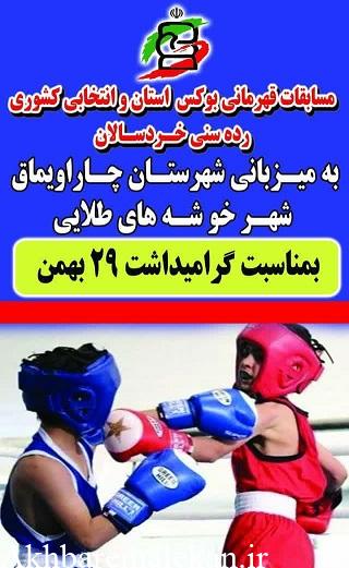 شهرستان ملکان قهرمان مسابقات بوکس خردسالان در چاراویماق شد