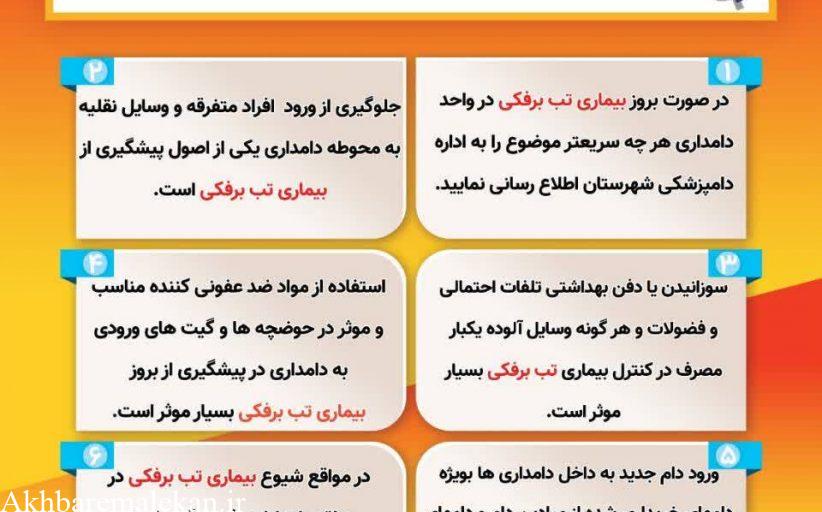 اینفوگرافی/ راهکارهای پیشگیری از بروز بیمـــــــاری تــب برفــــــــکی