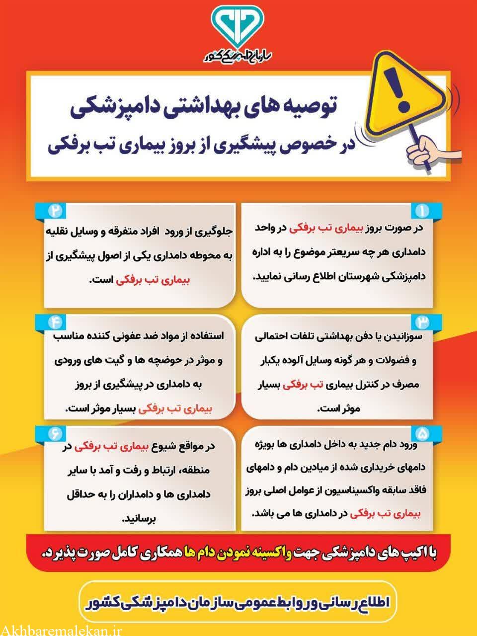 اینفوگرافی/ راهکارهای پیشگیری از بروز بیمـــــــاری تــب برفــــــــکی
