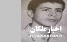 کاش هزاران جان داشتم و در راه اسلام فدا می‌کردم