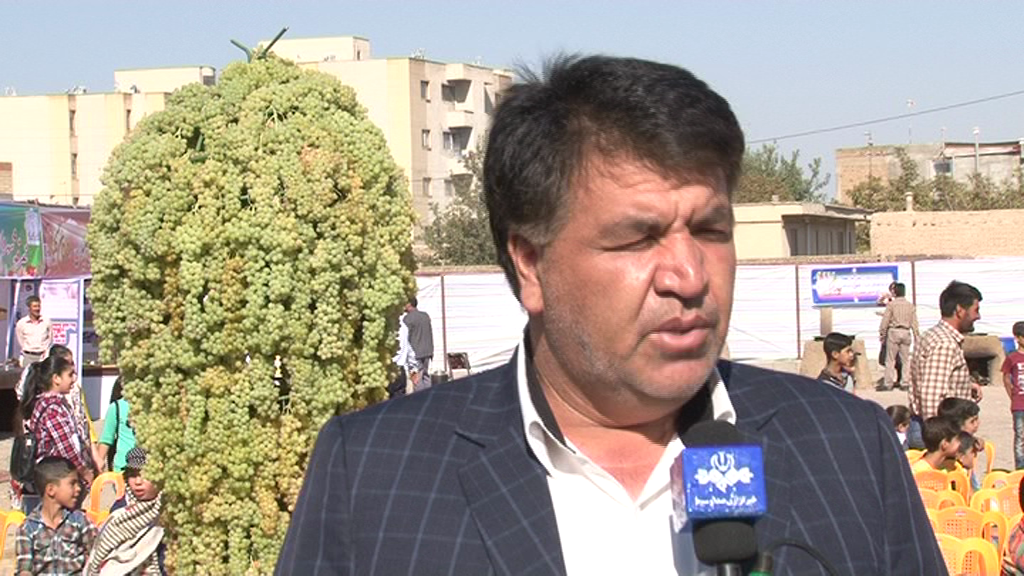 هشدار مدیر جهادکشاورزی ملکان نسبت به تلاش برخی افراد فرصت طلب بمنظور پایین آوردن قیمت انگور و کشمش!