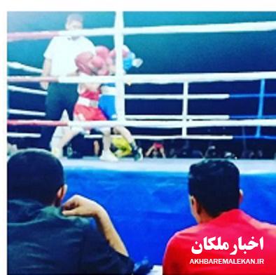 ملکان مقام سوم مسابقات بوکس انتخابی استان را کسب کرد