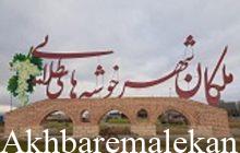 شهرستان ملکان رتبه نخست استانی در تولید انگور را دارد/فعالیت بیش از ۳۰ واحد تبدیلی انگور در ملکان