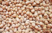 کشت مکانیزه نخود برای نخستین بار در مراغه
