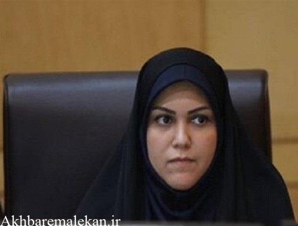 وزیر پیشنهادی امور اقتصادی و دارایی در حوزه  نظری اقتصاد تسلط دارند