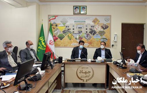 هشدار رئیس سازمان حهادکشاورزی استان در خصوص پیامدهای عدم تامین آب اراضی کشاورزی شهرستان ملکان