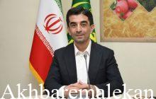 تولید  ۳.۷ درصد از کل تولید گوشت مرغ کشور در آذربایجان شرقی