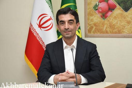 تولید  ۳.۷ درصد از کل تولید گوشت مرغ کشور در آذربایجان شرقی