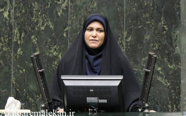 نماینده مردم ملکان،برای دومین بار رئیس فراکسیون زنان و خانواده مجلس دوازدهم شد