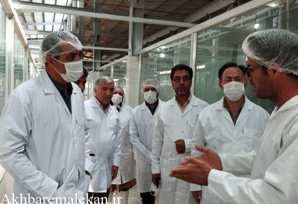 خوشبختانه کشتارگاه دام نوین ملکان توانسته از لحاظ رعایت اصول بهداشتی،استفاده از فناوری های نوین، مدیریت پسماند و ایجاد حلقه های ارزش در زنجیره تولید گوشت نمونه‌ای از ظرفیت‌های صنعتی جنوب استان را به نمایش بگذارد