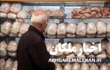 کمبود مرغ در بازار ملکان و انداختن توپ علت مشکل به زمین یکدیگر توسط دستگاههای مربوطه!
