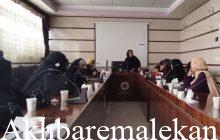 طرح پارک در اداره بهزیستی شهرستان ملکان برگزار شد