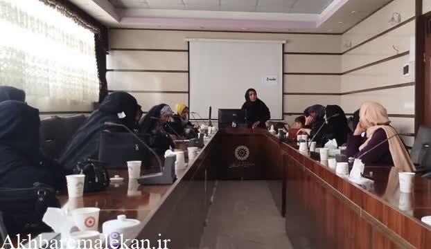 طرح پارک در اداره بهزیستی شهرستان ملکان برگزار شد