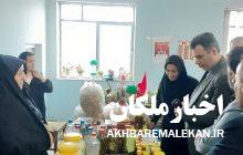 نمایشگاه توانمندی های زنان روستایی شهرستان ملکان گشایش یافت