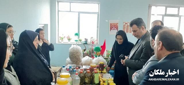 نمایشگاه توانمندی های زنان روستایی شهرستان ملکان گشایش یافت