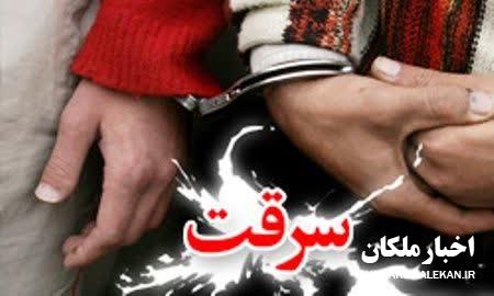 دستگیری سارقان سیم کابل با ۱۷ فقره سرقت در ملکان