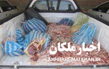 کشف و معدوم سازی بیش از ۵۰۰ کیلوگرم آلایش دامی و مرغی غیر بهداشتی در شهرستان ملکان