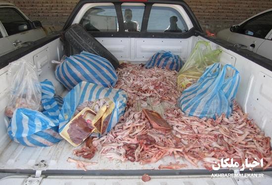 کشف و معدوم سازی بیش از ۵۰۰ کیلوگرم آلایش دامی و مرغی غیر بهداشتی در شهرستان ملکان