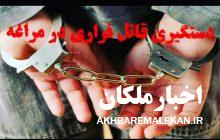 دستگیری قاتل فراری در شهرستان مراغه