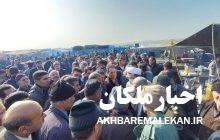 شرایط بازار دواب غیرقابل قبول است